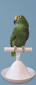 Percher® Bird Perch_Cone Perch
