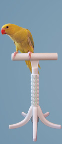 Percher® Bird Perch_Free-Standing T-Perch