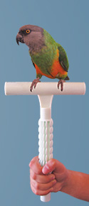 Percher® Bird Perch_Hand-Held T-Perch Configuration