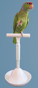 Percher® Bird Perch_Tall Perch Configuration