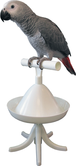Percher® Bird Perch_Free-Standing Configuration